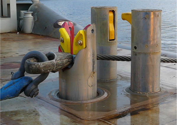 Fork Type Shark Jaw 5528015.png Fork Type Shark Jaw 5.png